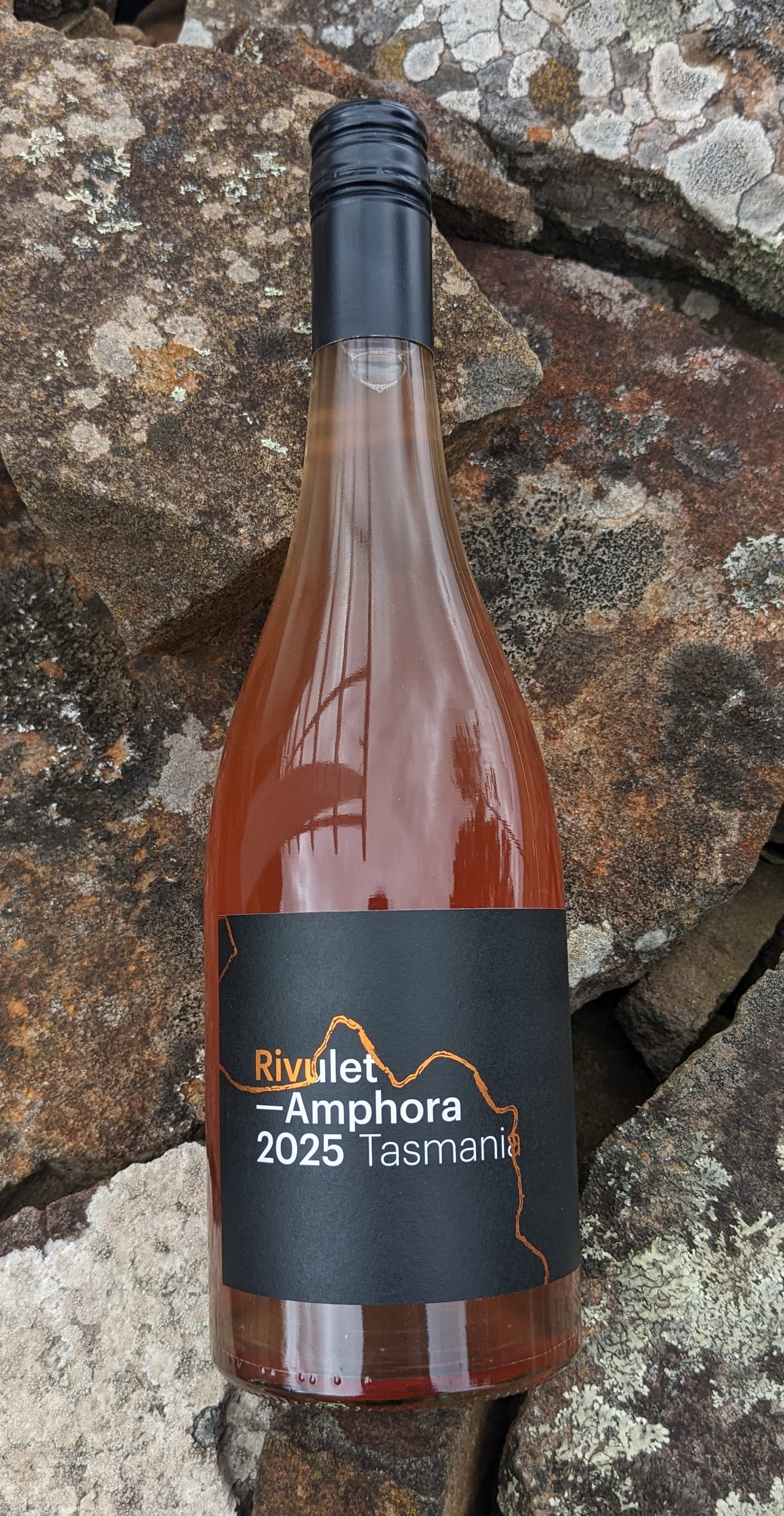 Rivulet Amphora Pinot Gris 2025